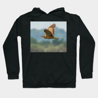 A bittern in flight in the UK Hoodie